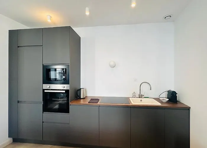 Hyper Centre Cathédrale Boulingrin 101 Appartement *